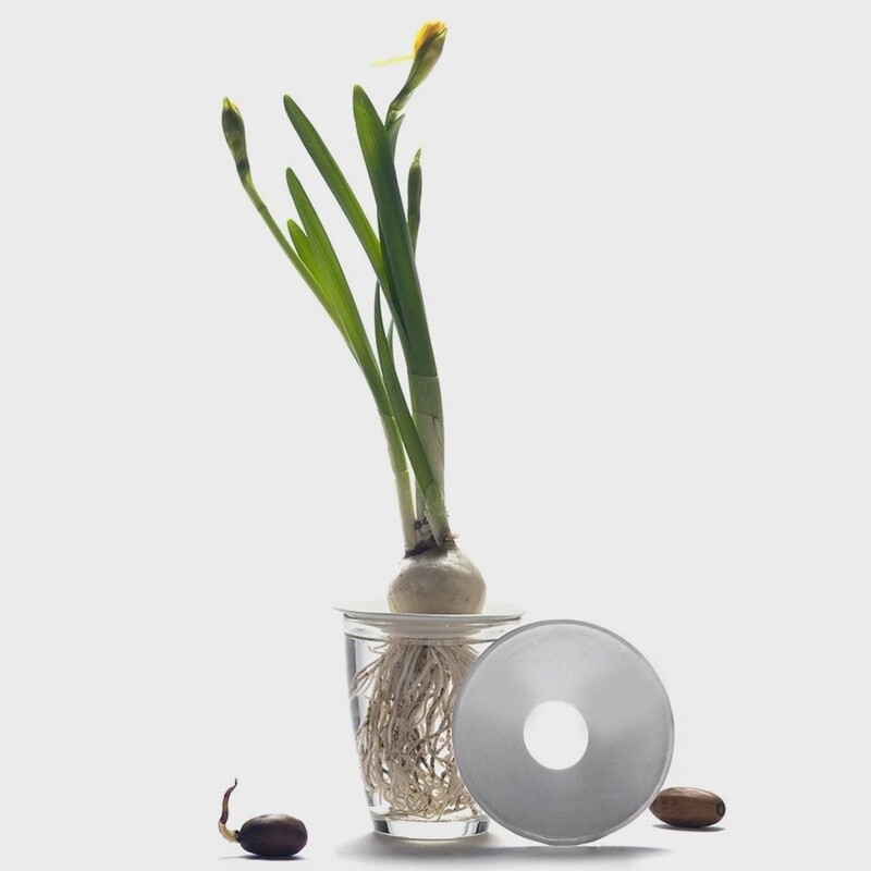 BOTANOPIA plate large