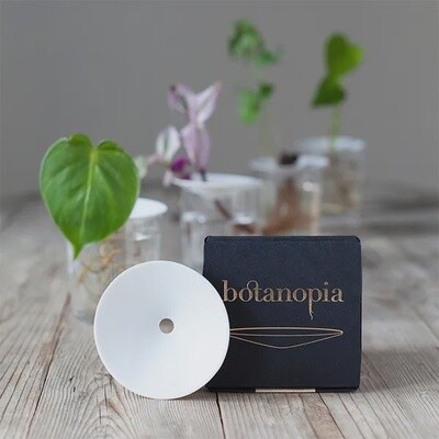BOTANOPIA plate small
