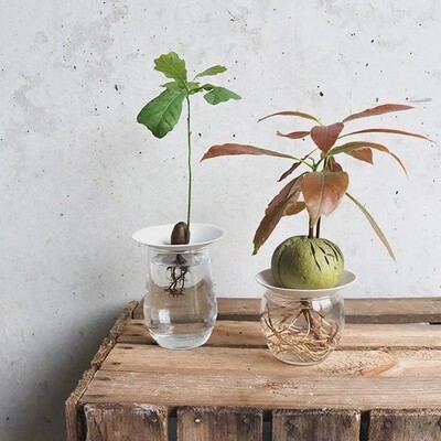 BOTANOPIA Deluxe gift set