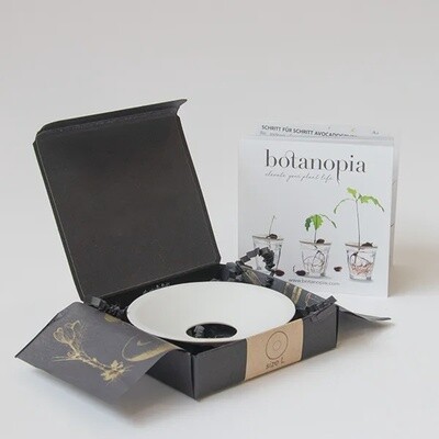 BOTANOPIA plate large