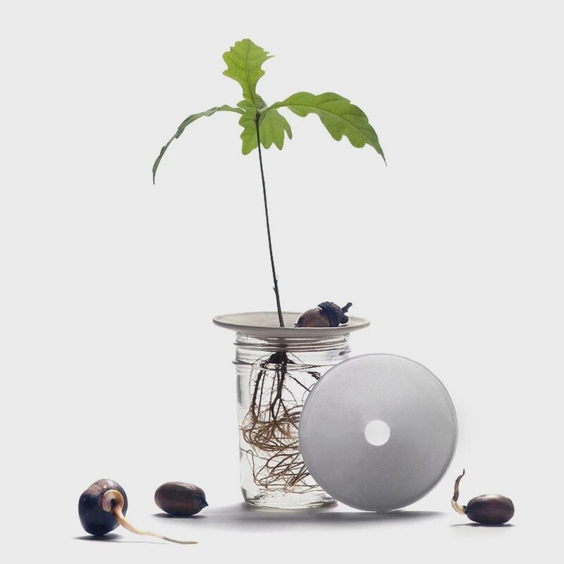 BOTANOPIA plate small