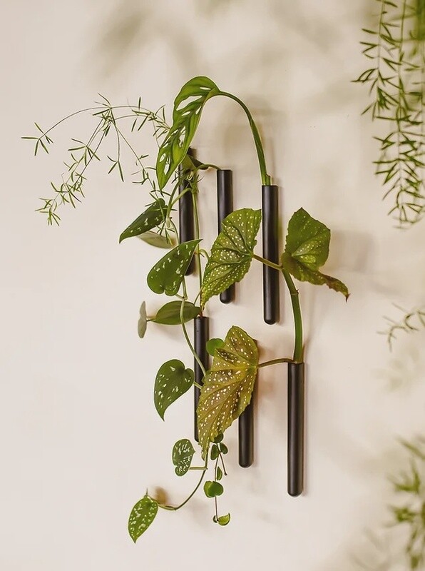 MUURBLOEMPJES magneetvaasjes zwart 6 stuks