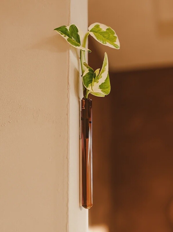 MUURBLOEMPJES magneetvaasjes amber per/stuk