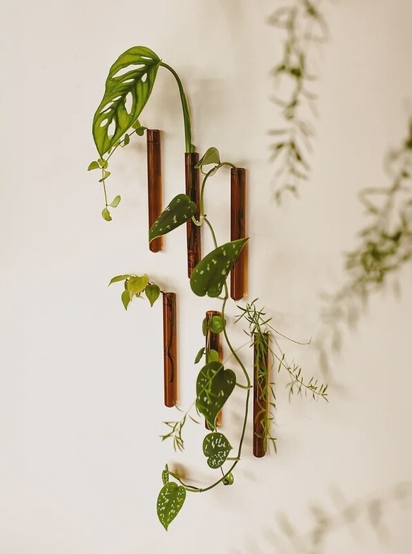 MUURBLOEMPJES magneetvaasjes amber 6 stuks