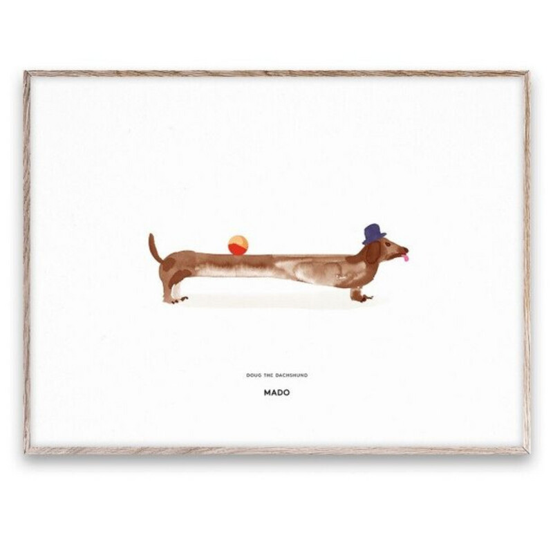 MADO Doug the Dachshund 30X40cm