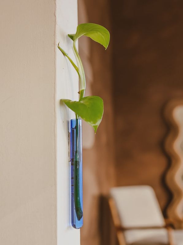 MUURBLOEMPJES magneetvaasjes licht blauw per/stuk