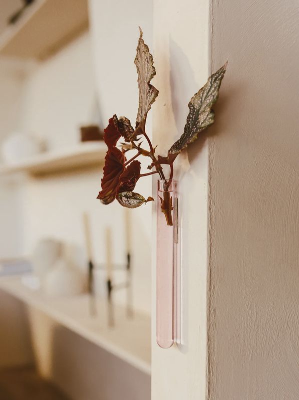 MUURBLOEMPJES magneetvaasjes roze per/stuk