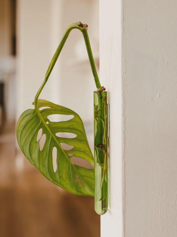 MUURBLOEMPJES magneetvaasjes groen per/stuk