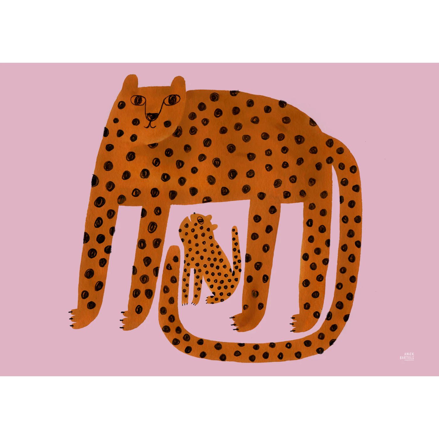 MADO poster Leopards 50X70cm