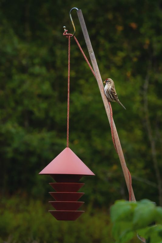 PIDÄT Bird Silo voederhuisje terracotta
