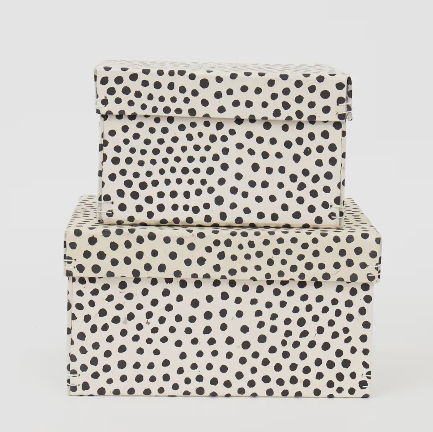 A WORLD OF CRAFT box Dotted zwart/wit set van 2