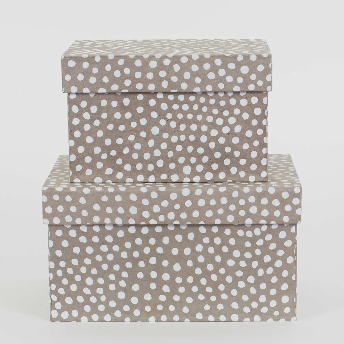 A WORLD OF CRAFT box Dotted beige/wit set van 2