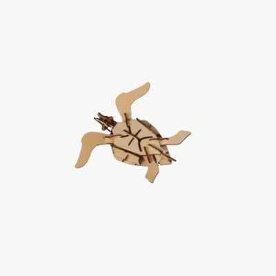 KITCREATIVES bouwpakket Schildpad