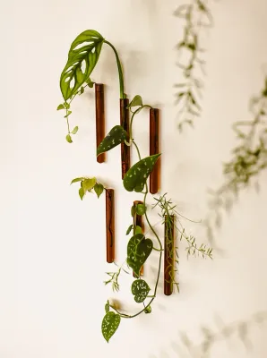 MUURBLOEMPJES magneetvaasjes amber 6 stuks