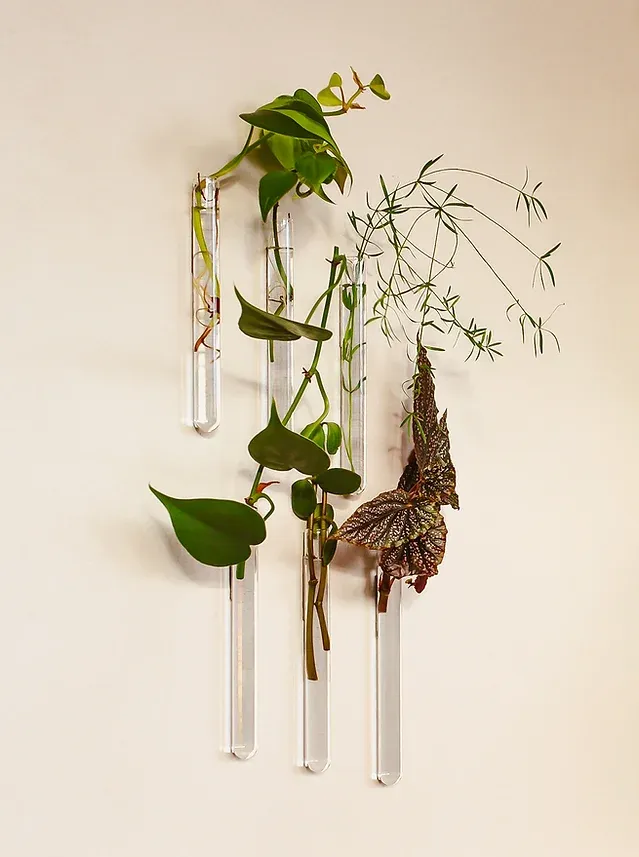 MUURBLOEMPJES magneetvaasjes glas 6 stuks