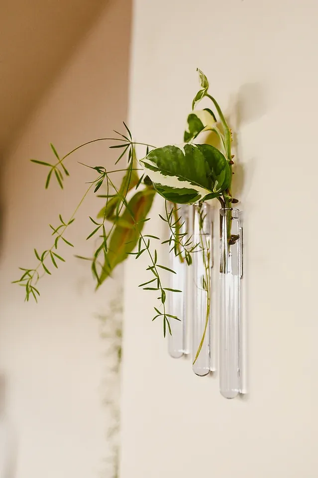 MUURBLOEMPJES magneetvaasjes glas 3 stuks