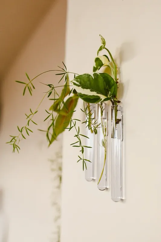 MUURBLOEMPJES magneetvaasjes glas 3 stuks