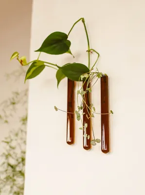 MUURBLOEMPJES magneetvaasjes amber 3 stuks