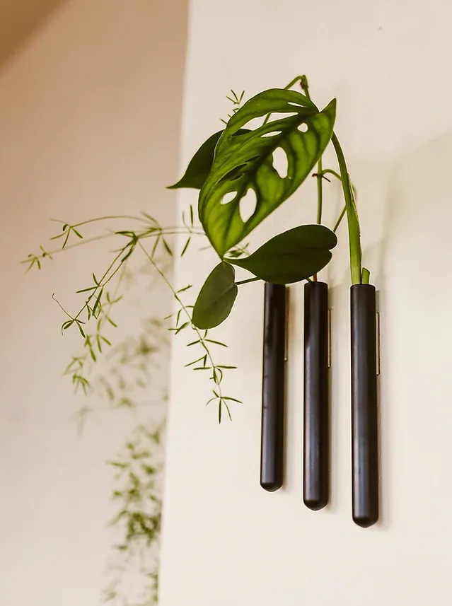 MUURBLOEMPJES magneetvaasjes zwart 3 stuks