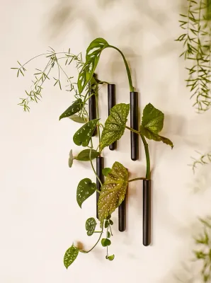 MUURBLOEMPJES magneetvaasjes zwart 6 stuks