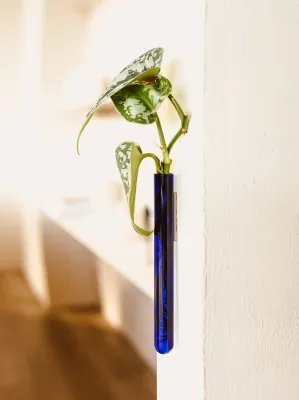 MUURBLOEMPJES magneetvaasjes blauw per/stuk