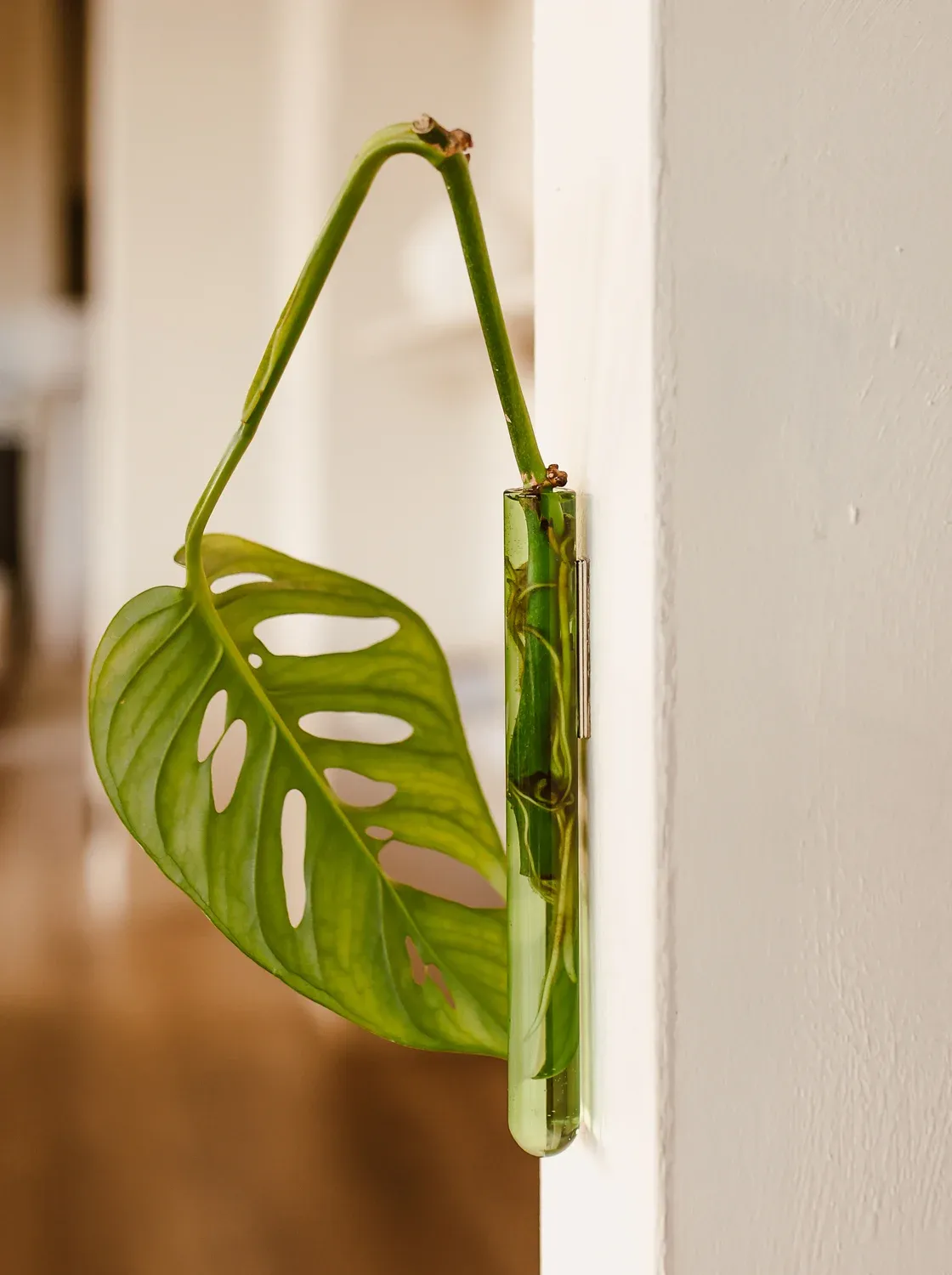 MUURBLOEMPJES magneetvaasjes groen per/stuk