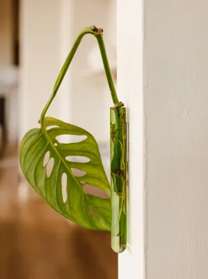 MUURBLOEMPJES magneetvaasjes groen per/stuk