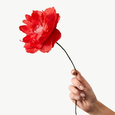 STUDIO ABOUT Paper Flower Oriental Poppy red
