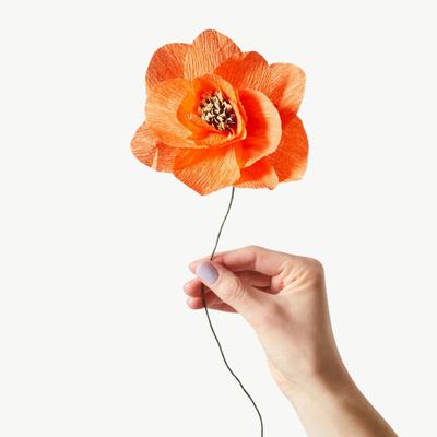 STUDIO ABOUT Paper Flower Poppy red