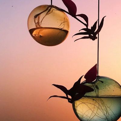 STUDIO ABOUT Hanging Flower Bubble rose medium