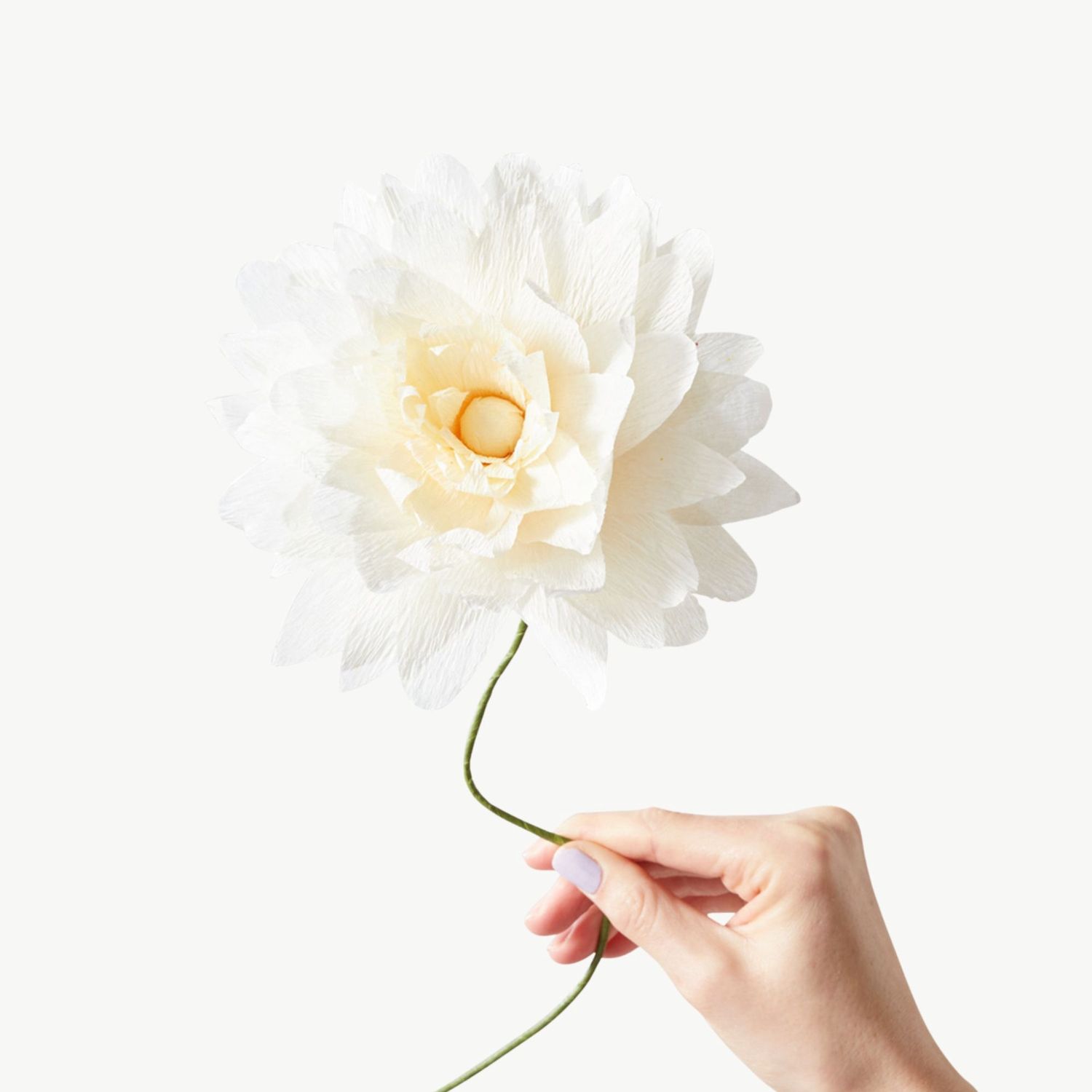 STUDIO ABOUT Paper Flower Grand Dahlia sand