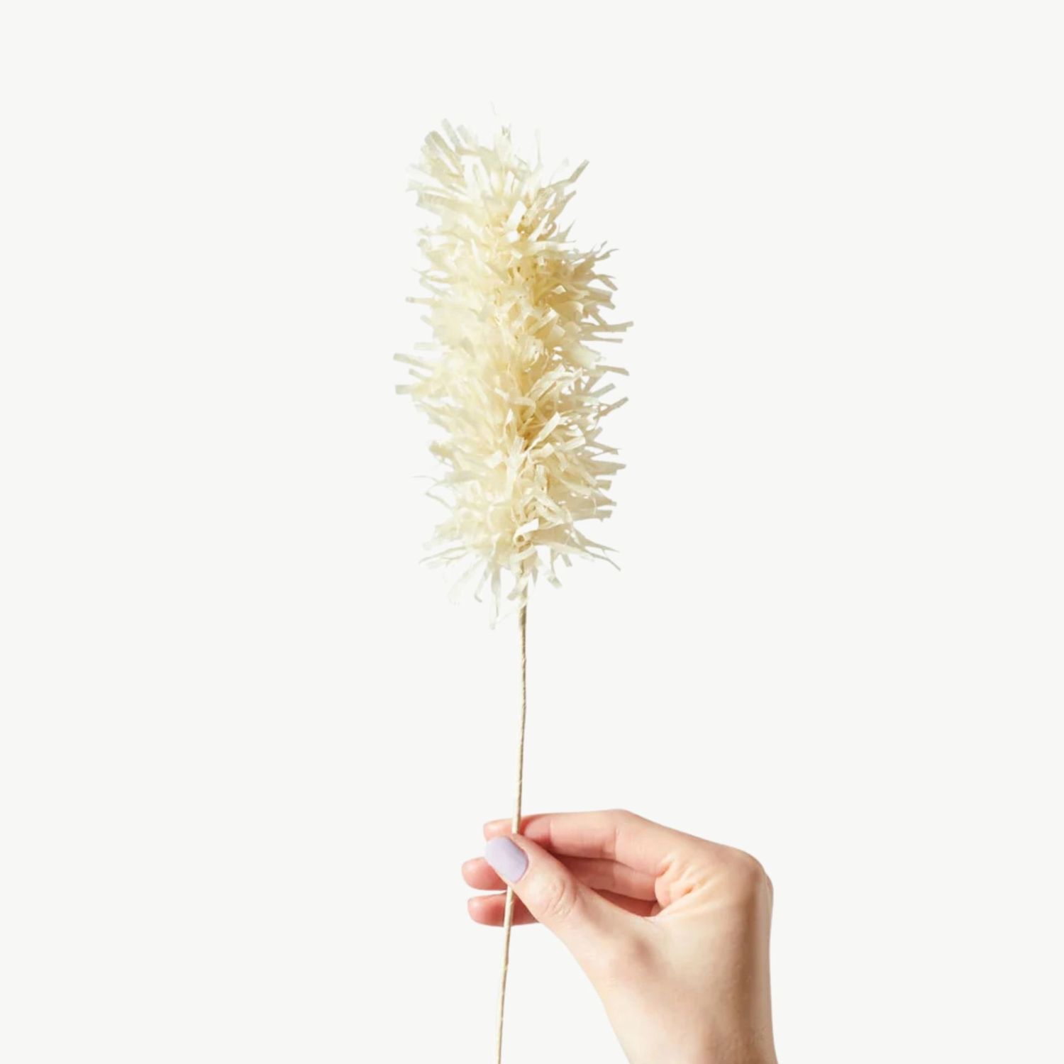STUDIO ABOUT Paper Flower Pampas sand