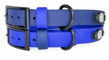 BACKWOODS DOG 1&quot; Classic Collar - Black Buckle