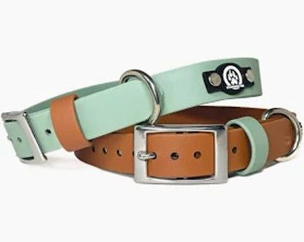 BACKWOODS DOG 1&quot; Classic Collar - Silver Buckle
