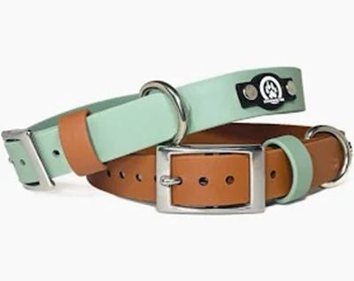BACKWOODS DOG 1&quot; Classic Collar - Silver Buckle