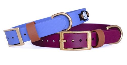 BACKWOODS DOG 1&quot; Classic Collar - Brass Buckle