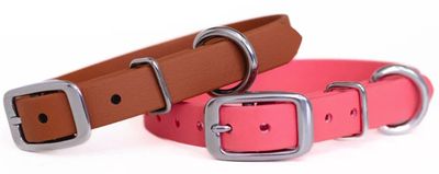 BACKWOODS DOG 5/8&quot; Classic Collar - Silver Buckle