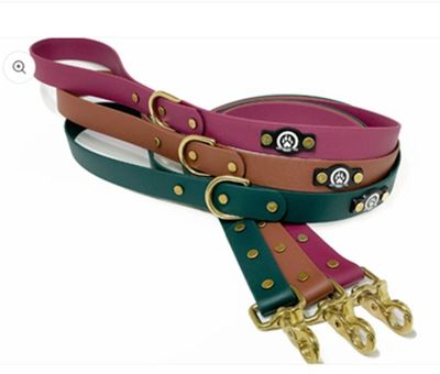 BACKWOODS DOG 1&quot; Classic Leash - Solid Colors 5-foot