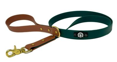 BACKWOODS DOG 1&quot; Classic Leash - Two Tone Color 5-foot