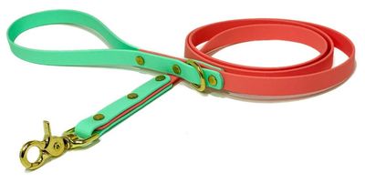 BACKWOODS DOG 5/8&quot; Classic Leash - Two Tone Color 5-foot