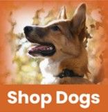 Shop Dogs