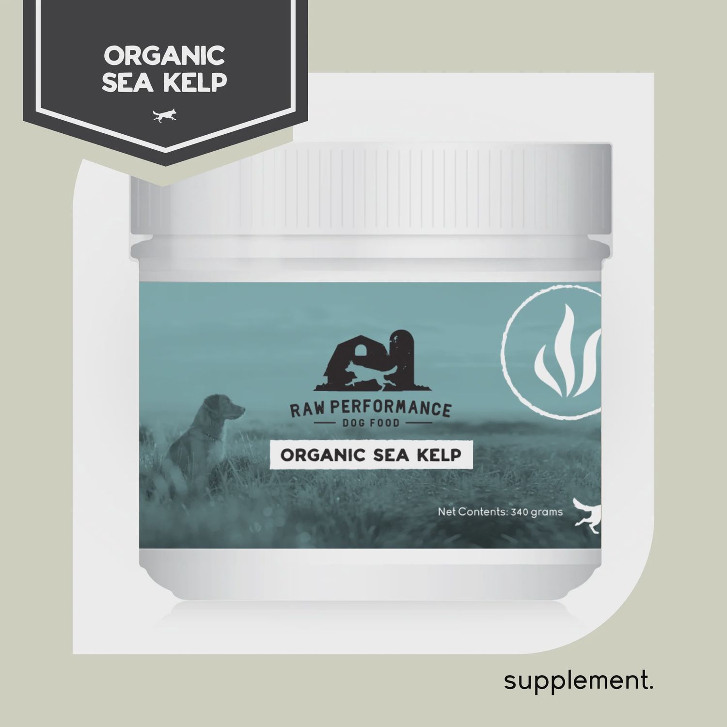 RAW PERFORMANCE - Organic Sea Kelp - 340g