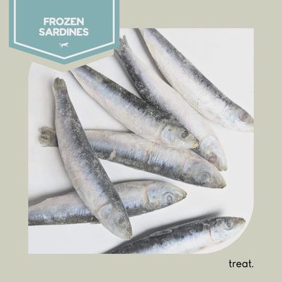 RAW PERFORMANCE - Sardines (1lb bag Frozen/ Whole)
