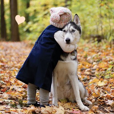 Shop Dogs