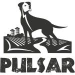 Pulsar