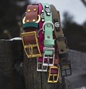 Collars