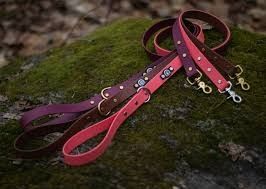 Leashes