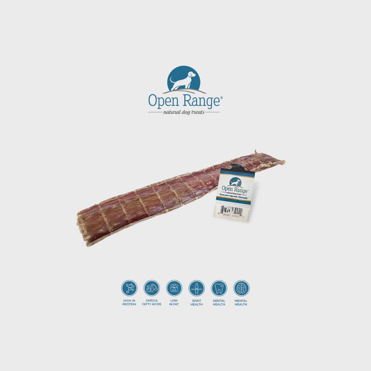 Open Range Bully Chomper Flattened 11-12&quot;
