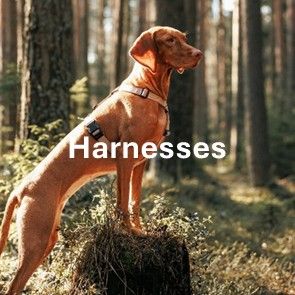 Harnesses