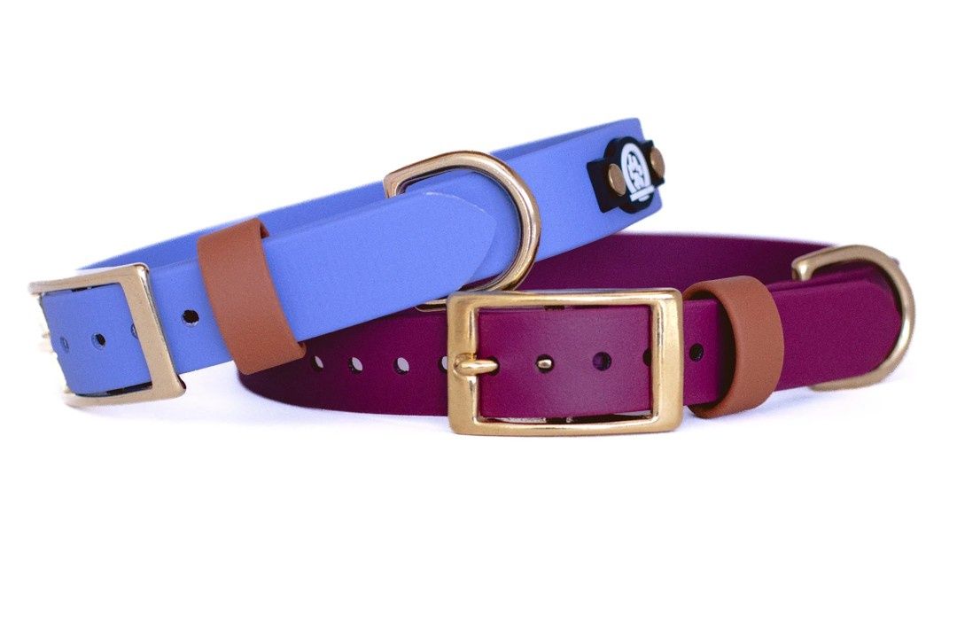 BACKWOODS DOG 5/8&quot; Classic Collar - Brass Buckle